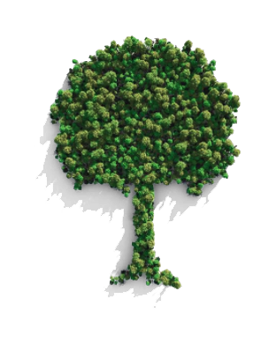 Growing Oxygen